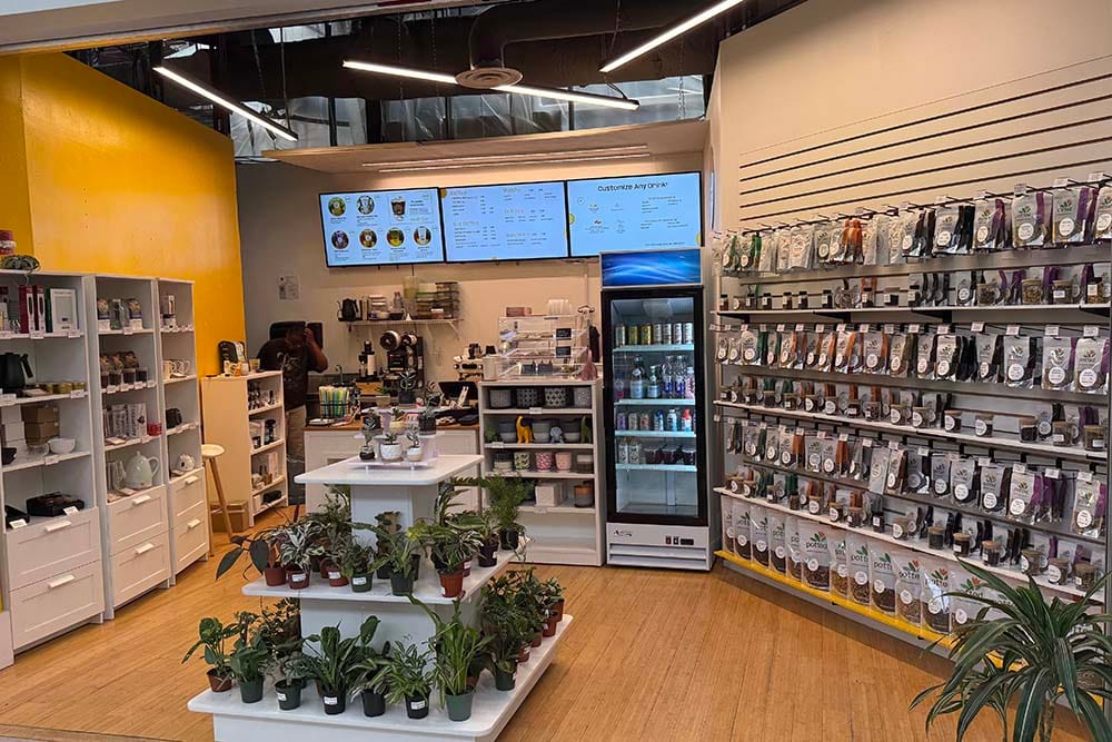 Potted shop photo.jpg